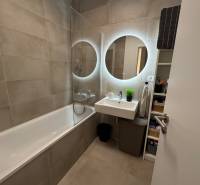 kúpeľňa Bory prenájom