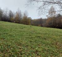 A wooded slope of the Recreational Grounds near Podhradie at Konská, surrounded by autumn trees.