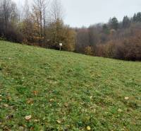 Grassy area with forest on Recreational land in Podhradie on Konské Street.