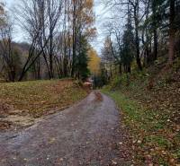 Autumn path between trees on Recreational Grounds in Podhradie on Konská Street.