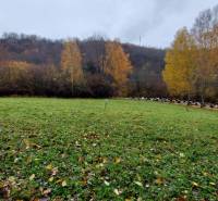 A green meadow surrounded by autumn trees in the Recreational Grounds at Konská in Podhradie.