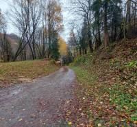 Autumn forest road on Recreational plots on Konská Street in Podhradie.