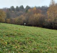 Autumn in the meadow in the village of Podhradie, Konské, surrounded by the dense forest of Recreational Lands.