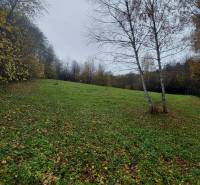 Green meadow with trees at the Recreational Grounds in Podhradie on Konské Street during autumn.