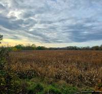 Land with fields near Moravany nad Váhom on Na Výhone street, category Land - residential.