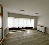Empty commercial spaces, wood-patterned flooring, large windows with blinds.