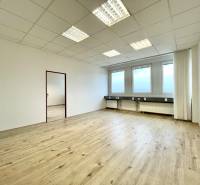 An office with a wood-decor floor and large windows, neutral colors.