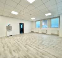 Large office with wood-patterned flooring and a sink.