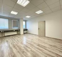 An empty office with wood-patterned flooring, white walls, and ceiling lights.