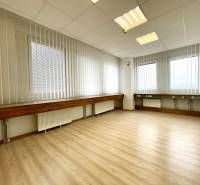 Offices with wood-patterned flooring, vertical blinds, ceiling lighting, sockets, and radiators.