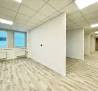 Offices with wood-patterned flooring, white walls, and ceiling lights.