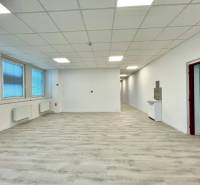 Offices with wood-patterned flooring, white walls, and large windows.