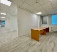 White offices with wood-patterned flooring, minimalist furniture, neutral lighting.
