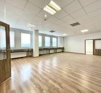 Spacious offices with wood-patterned flooring, white walls, and a coffered ceiling.