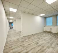 Offices with white walls and wood-patterned flooring.
