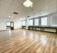 Bright offices with wood-patterned flooring and ceiling lights.