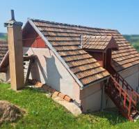 A cottage in Hontianske Trsťany with a wooden roof and stairs surrounded by greenery.