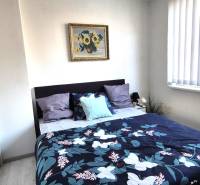 Bedroom in a 2-room apartment with a bed, painting, and mirrored wardrobe.