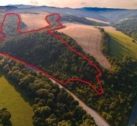 Agricultural and forest lands around Rokycany shrouded in lush greenery and golden fields.