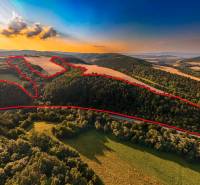 Sunny view of agricultural and forest lands around the town of Rokycany.