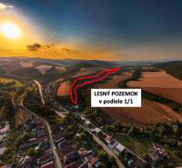 A view of agricultural and forest land at sunset around Rokycany.