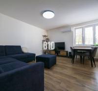 Living room in a three-room apartment with a sofa, television, and wooden decor flooring.