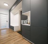 A hallway in a 3-room apartment with storage spaces and a floor with a wooden decor.