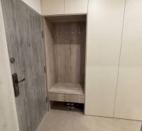 Entrance hallway with cabinets and coat racks in a 2-room apartment, wood decor on the doors.