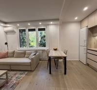 Living room with a sofa, dining table, and kitchen in a two-room apartment.