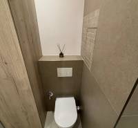 A toilet in a 2-room apartment with tiles and a wooden decor on the wall.