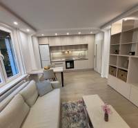 Living room with kitchen and wooden decor flooring in a 2-room apartment.