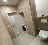 Bathroom in a 2-room apartment with a toilet and a washing machine, floor with wooden decor.