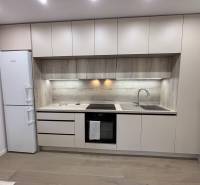 A kitchen unit with a wood decor and built-in appliances in a 2-room apartment.
