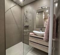 Bathroom with a shower, sink on a cabinet, and mirror in a 2-room apartment.