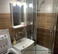 Bathroom with a sink, washing machine, and shower in a 2-room apartment.