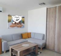 Living room with a gray sofa, wooden decor flooring in a two-room apartment.