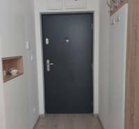 Entrance hall with gray doors, wood-decor flooring, and a coat rack, 2-room apartment.
