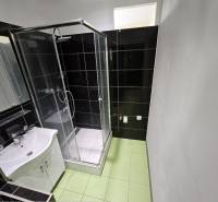 Bathroom in a 2-room apartment with a shower, green and black tiles.
