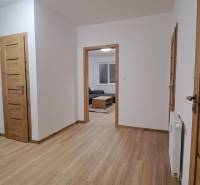 A hallway in a 2-room apartment with a wooden decor floor and wooden doors.