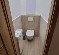 Bathroom with a wall-hung toilet and a floor with a wooden decor in a 2-room apartment.