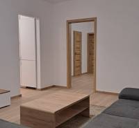 Living room in a two-room apartment with a couch and a wooden decor floor.