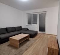 Living room with a dark sofa, table, and wooden decor flooring in a two-room apartment.