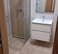 Bathroom with wood-patterned flooring, a shower corner, and a sink in a 2-room apartment.