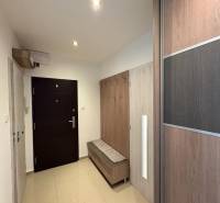 Entrance hall of a 3-room apartment with a wardrobe and a coat rack, bright environment.