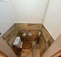 A toilet with wall tiles and flooring with a wood decor in a 3-room apartment.
