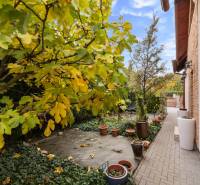 The garden of a family house on Košariská Street in Rovinka with a walkway and flower pots.