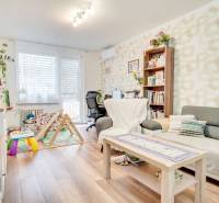 Living room in a three-room apartment with a comfortable sofa, children's corner, and wooden decor flooring.