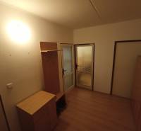 A brightly lit hallway with a wood-patterned floor, a cabinet, a coat rack, and glass doors.