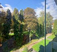 A view of green trees from a 2-room apartment on Severna Street in Martin.