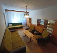 Living room with sofas and furniture, wooden decor flooring, 2-room apartment.